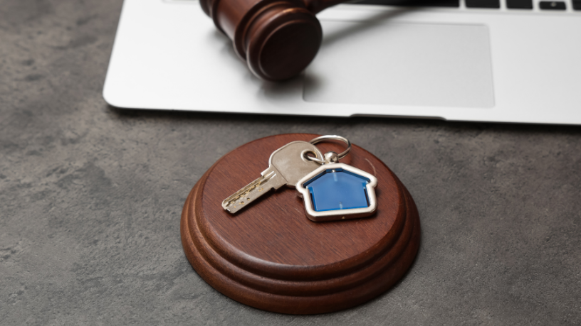 Aldo Vendramin destaca que leilões rurais presenciais x online ampliam oportunidades e democratizam o acesso ao mercado.